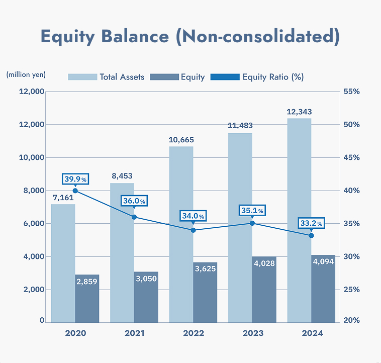 Equity Balance (Non-consolidated)