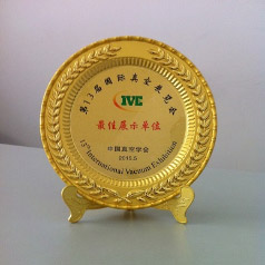 在第13届中国国际真空展览会上荣获最佳展示单位-金奖