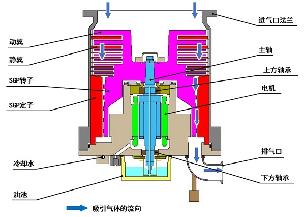 涡轮分子泵内部图解(油润滑轴承)